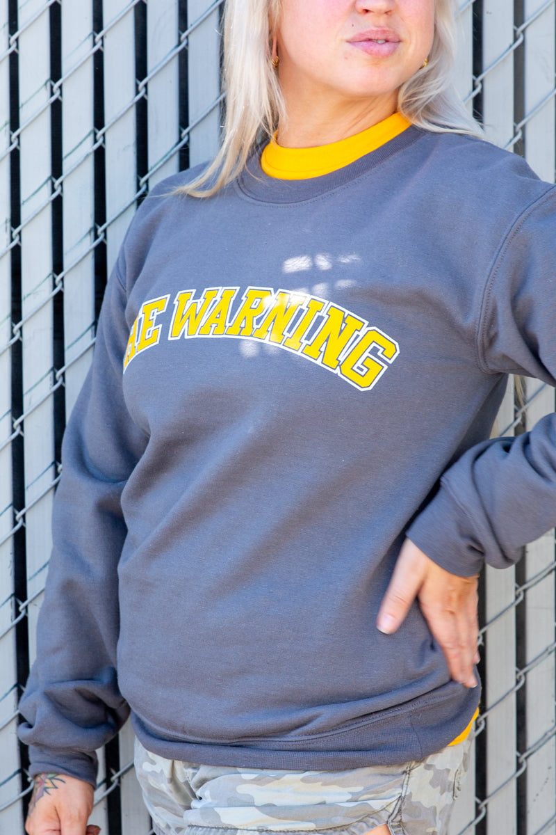 Varsity Crew Neck (Various Colors)